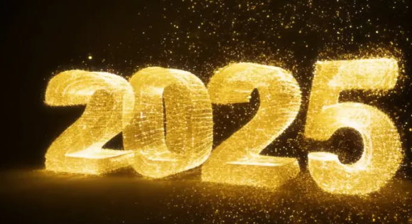 儒商顾问2025年总经理新年致辞