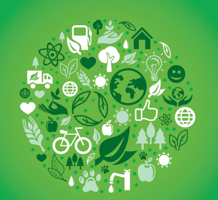 双碳目标：中国的绿色转型之路与时代使命